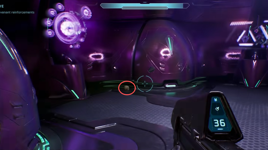 Foreign skull circled on the floor beside the left wall